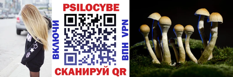 Псилоцибиновые грибы Cubensis Зима