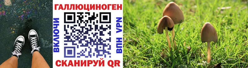 Галлюциногенные грибы Magic Shrooms  кракен tor  Зима  как найти  