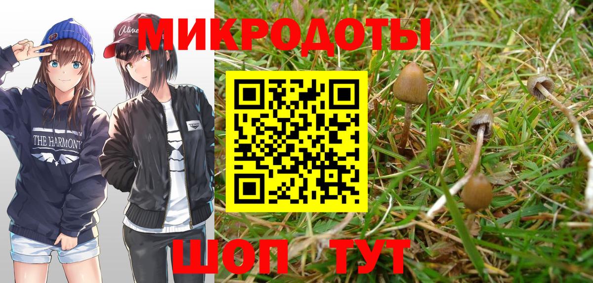 Псилоцибиновые грибы Magic Shrooms Зима