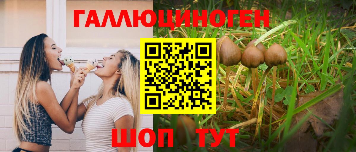 Галлюциногенные грибы прущие грибы  Вход с VPN  Зима  Псилоцибиновые грибы Psilocybe 